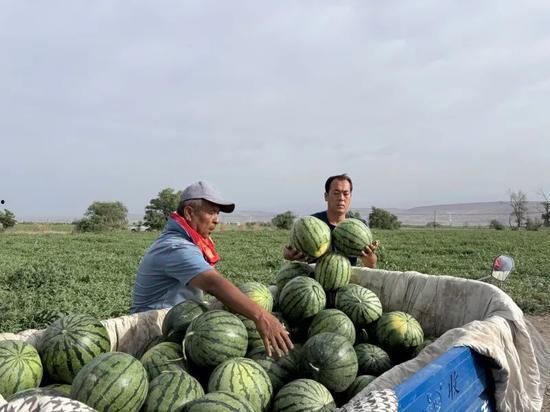 柳州融安吃瓜,柳州特色美食之旅