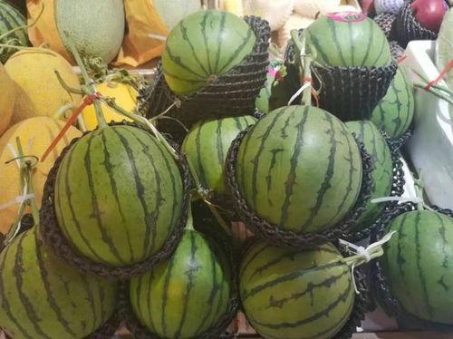 柳州融安吃瓜,柳州特色美食之旅