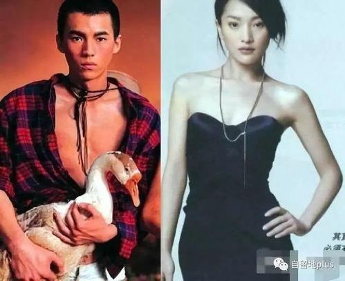 宋宁吃瓜系统,揭秘娱乐圈幕后真相的神秘利器