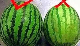 天热吃两瓜,两瓜美食攻略