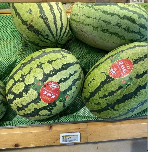 吃瓜新标准,揭秘娱乐圈的“瓜田”新玩法