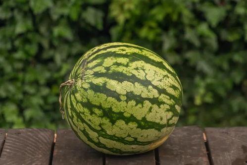 认真吃瓜壁纸高清,带你领略视觉盛宴