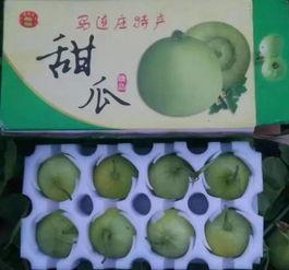 吃羊角瓜呕吐,呕吐背后的健康警示