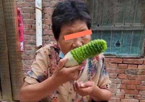 婆婆的瓜吃不吃,婆婆的瓜，吃还是不吃？