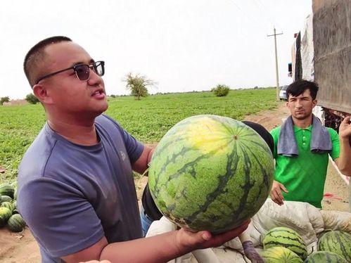 乌鲁木齐吃瓜群,乌鲁木齐“吃瓜群”里的烟火气与人间味