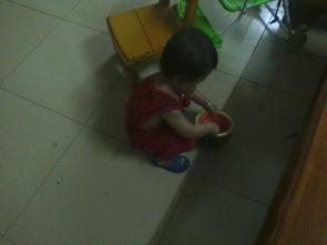 大宝宝吃瓜视频