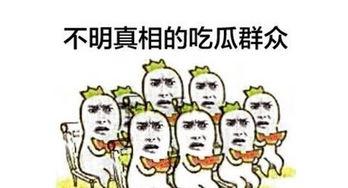 网络语 吃瓜群众,网络时代的围观力量