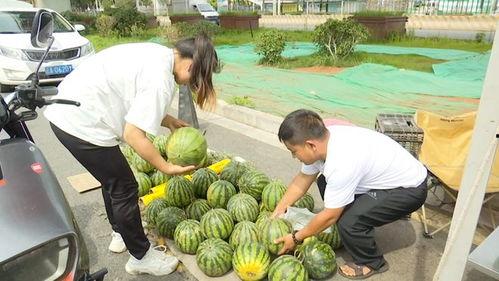 吃瓜日常元慕,揭秘吃瓜日常背后的娱乐真相