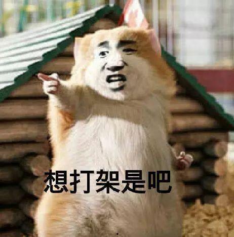 变态的吃瓜,揭秘变态吃瓜背后的疯狂世界