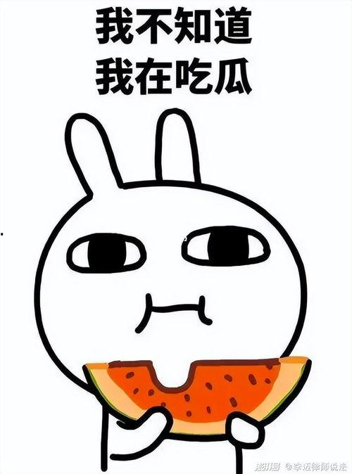 五一吃瓜今日吃瓜喵小吉,喵小吉带你领略今日热门瓜事