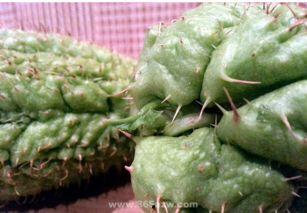 吃佛手瓜怎么煮汤