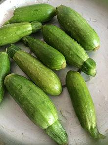 吃蒸角瓜好吗,蒸角瓜的营养益处与美味分享