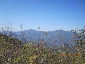 吃瓜爬楼山,探寻网络热点的背后故事