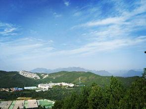 吃瓜爬楼山,探寻网络热点的背后故事