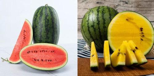 吃瓜种子专卖正品,正品保证，畅享美味瓜果时光