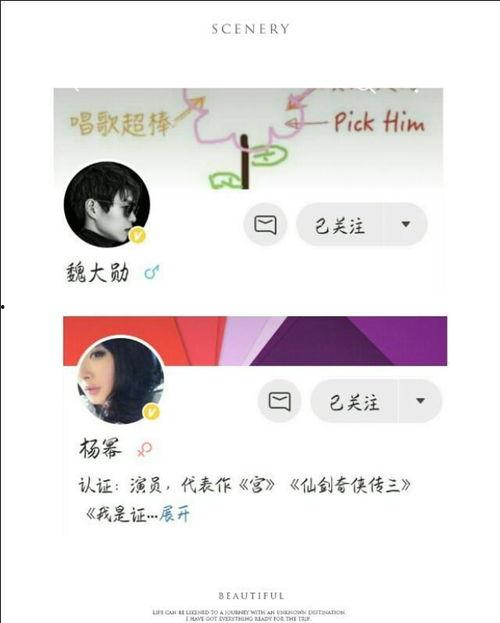 吃瓜群众文案经典,吃瓜群众视角下的明星幕后故事