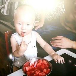 梦见给爸爸吃瓜,瓜果飘香，父爱如山