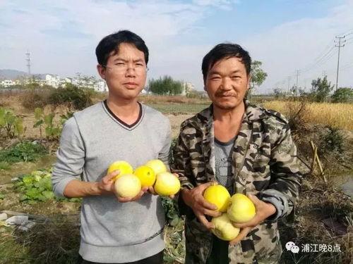 吃瓜的群众气质,揭秘网络热议背后的真实心态