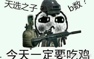 呆瓜解说吃鸡视频,呆瓜解说带你领略吃鸡游戏乐趣