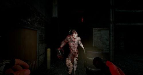 吃瓜恐怖游戏视频,揭秘恐怖游戏视频背后的惊悚真相