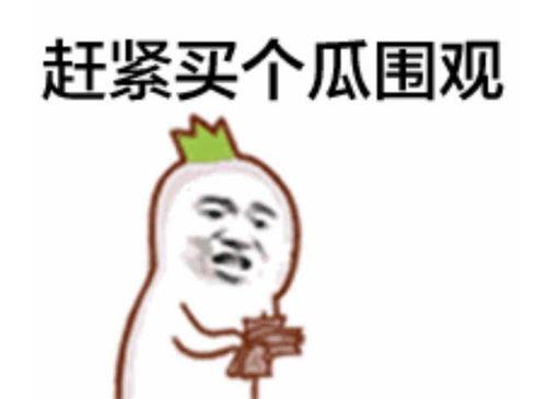 吃瓜二次元瓜,吃瓜群众眼中的虚拟世界