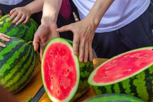 学校教师视角吃瓜,校园教师视角下的“吃瓜”现象解析