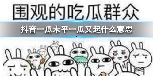 抖音作品吃瓜,一瓜未平，一瓜又起！