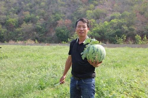 刘仙的吃瓜,揭秘娱乐圈幕后故事