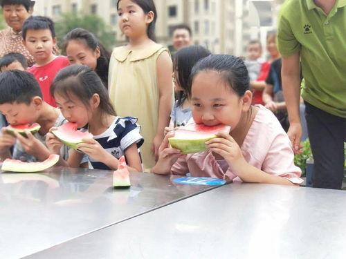 当吃瓜群众参与,吃瓜群众视角下的娱乐圈风云录