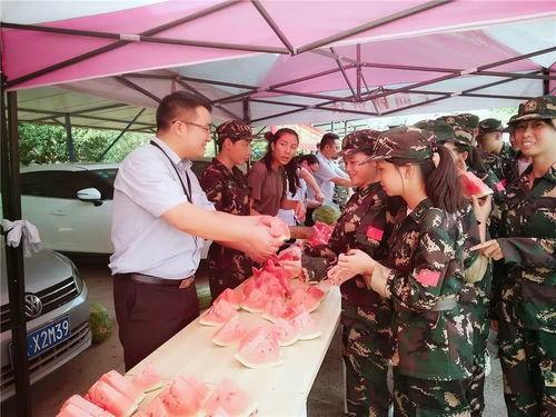 幸福村庄吃瓜群,吃瓜群里的欢乐时光