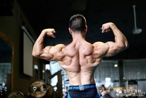 吃瓜大队健美,揭秘健身达人的蜕变之路