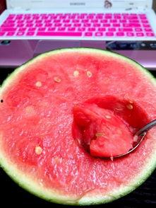 凌吃瓜日志,揭秘娱乐圈幕后故事