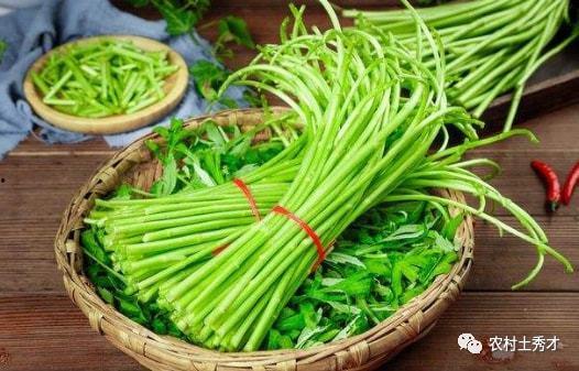 蒿姨吃瓜,揭秘娱乐圈背后的那些事儿