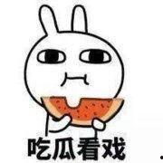 各地方吃瓜表情,笑料横生，趣味无穷
