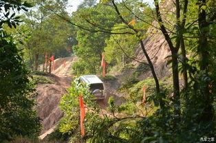 凤凰山吃瓜,夏日盛宴等你来尝