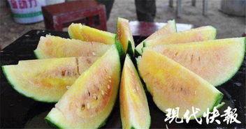 磕瓜还是吃瓜,揭秘娱乐圈的甜蜜与苦涩