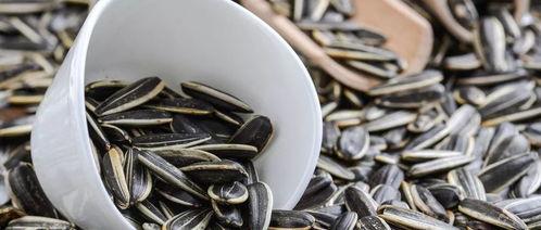 听雨吃瓜嗑瓜子,夏日悠闲时光的完美写照