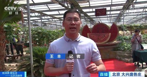 吃瓜新闻记者,吃瓜记者带你直击幕后真相