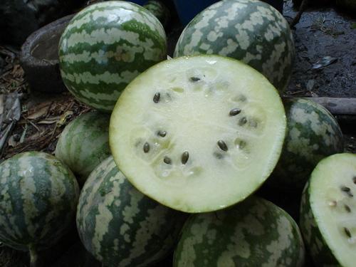 瓜怎样吃,探索各式瓜类美食的吃法与创意