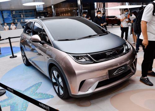 比亚迪海豚吃瓜