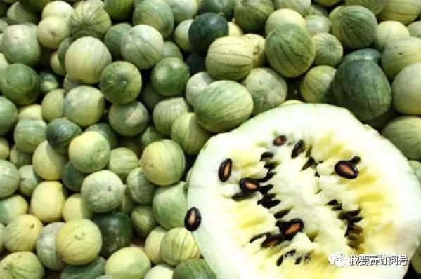 糖瓜吃瓜网,揭秘甜蜜生活，畅享瓜果盛宴