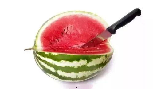 什么属于吃瓜,从娱乐八卦到社会热点