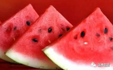 吃瓜要像这样吃,轻松掌握吃瓜技巧，畅享夏日清凉