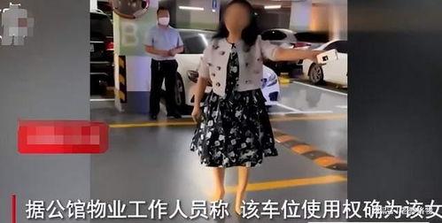 深圳宾利吃瓜事件,一场豪车与瓜农的意外冲突引发社会热议