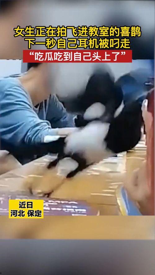 吃瓜的悲惨结局,揭秘网络舆论的残酷真相