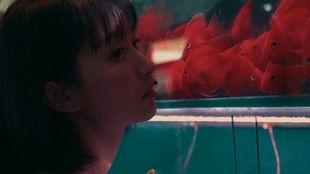 吃瓜少女lyric,揭秘娱乐圈幕后故事