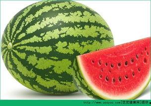 吃一晚瓜,一晚瓜的美食之旅