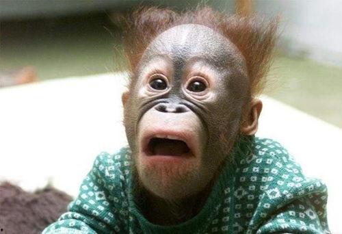 搞笑吃瓜放屁视频,笑料横生！搞笑吃瓜放屁视频大盘点