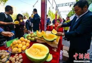 河北吃瓜事件最新,真相发酵，网络舆论场再掀波澜