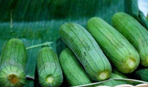 每天都吃的瓜,揭秘娱乐圈的甜蜜与苦涩